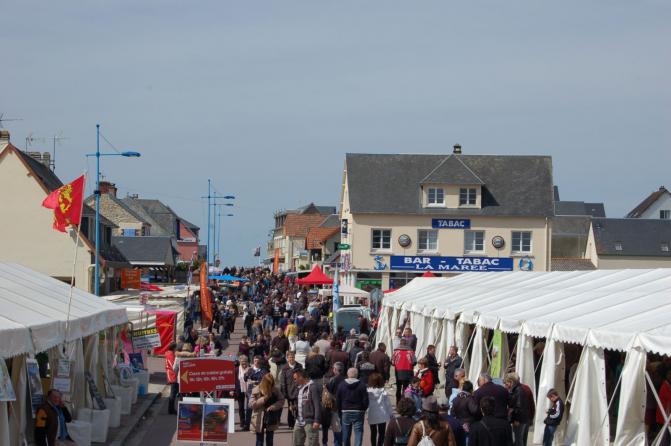 Pirou foire aux bulots 28.04.2013 117